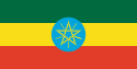 Etiopisk-europeisk kombination